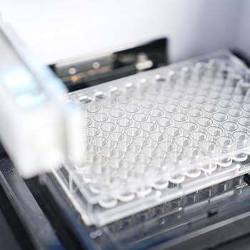 Élisaページ Zebrafish VEGF-A ELISA Kit | RayBiotech